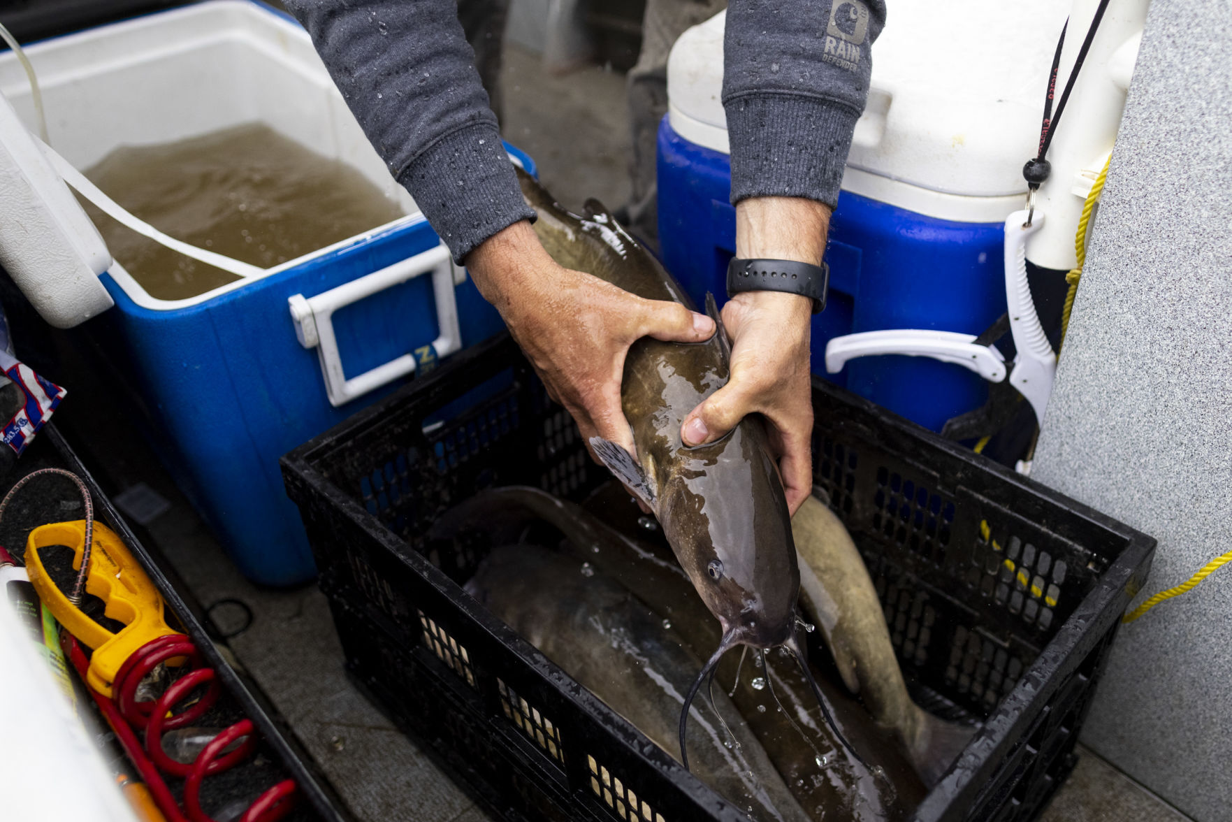 Yellowstone Challenge Catfish Tournament